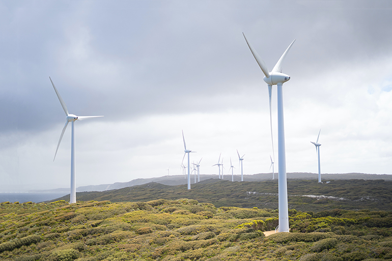 Big Wind Farm